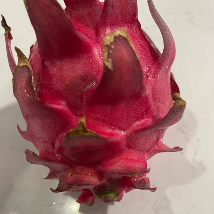 Mayumi Red Dragon fruit cutting 12"